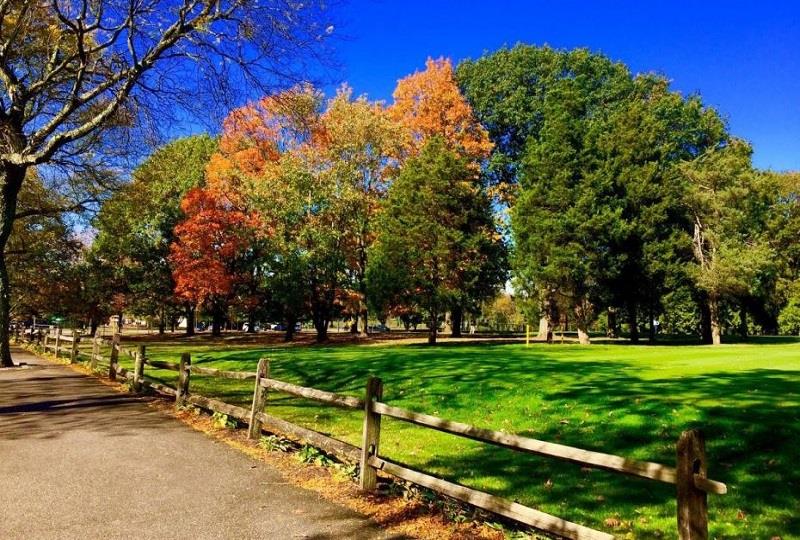 Singles Walk- Plainview/Woodbury area in TBA